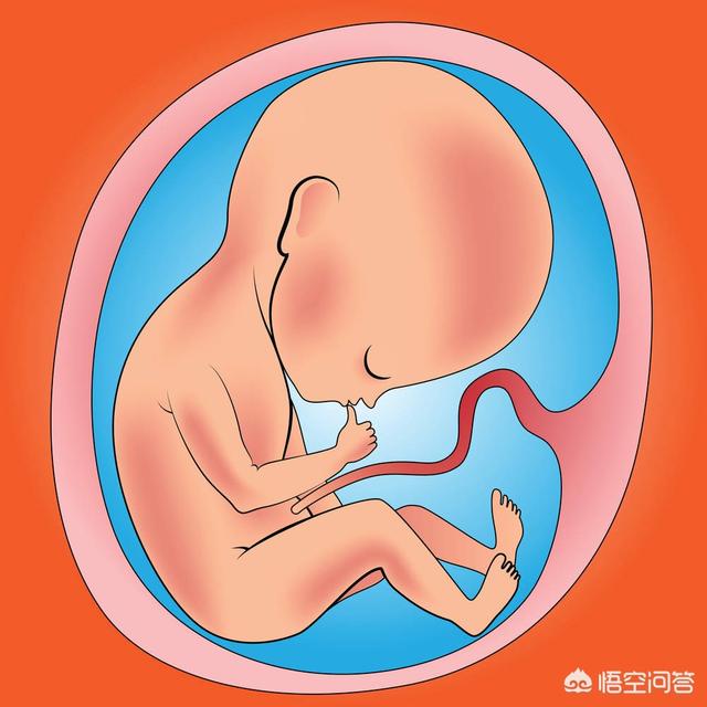 怀孕什么东西不能吃:怀孕第一个月有哪些饮食禁忌，孕妈妈要注意什么？