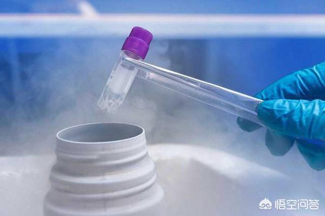 做试管胚胎冷冻可以冷冻多久？胚胎质量会下降吗？