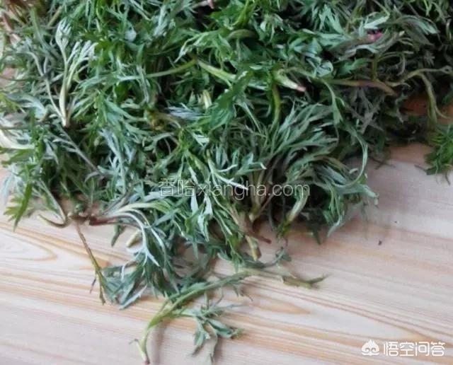柳蒿芽怎么晒干？
