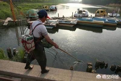 97年三条大鱼拦长江，还敢电鱼景东县8青年电鱼被抓, 你怎么看