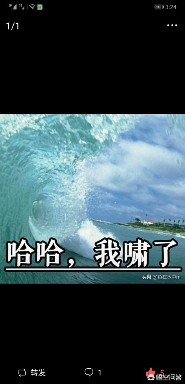 超级聪明阿凡提1:回忆杀！80后、90后，小时候看的动画片，你们还记得哪些？