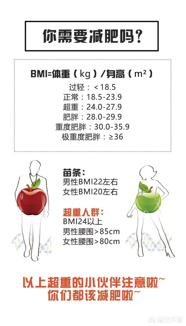 低碳生酮减肥的具体方法？