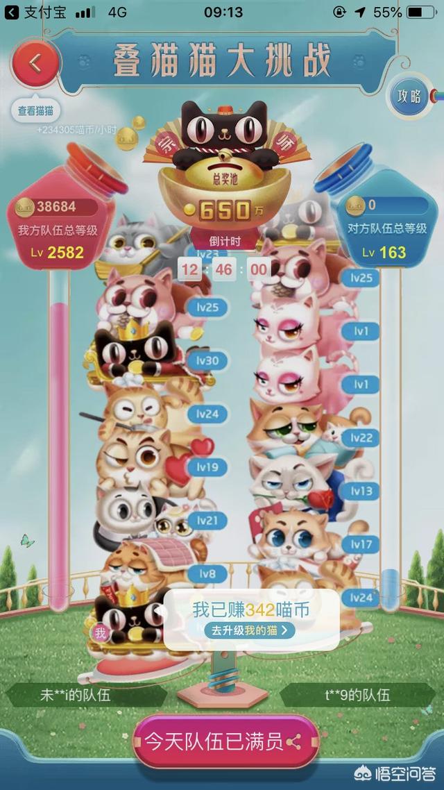 天猫捉猫猫:怎么才能确定无疑的找到猫？