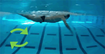 蝶泳教程(蝶泳教程慢动作)