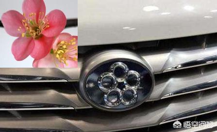 董明珠新能源汽车标志，董明珠的汽车“5个圈”是什么意思