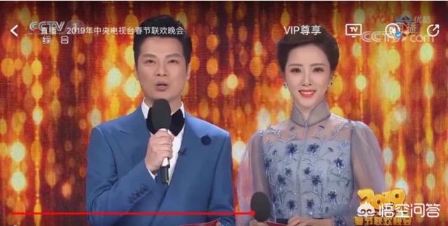 董卿李思思:如何评价李思思的主持功力？
