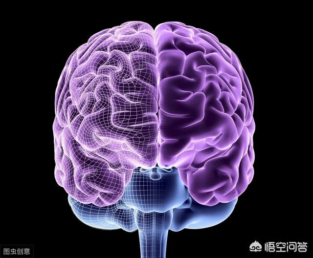 哈巴狗分别指哪一类人:什么是逻辑思维?又什么是抽象思维?形象思维是什么？