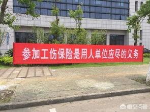 斗鱼雪纳瑞夫人视频:王者荣耀抽荣耀水晶，有什么技巧？