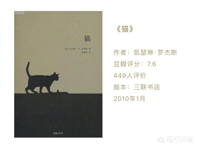 猫奴契约书图片:关于猫的杂志或者书，有推荐的吗？