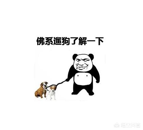 想买个电视机顶盒,哪个品牌比较好？
