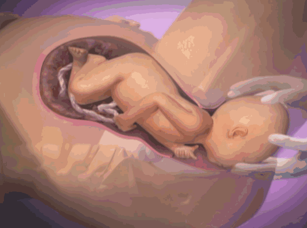 孕中期怀上二胎可能吗，怀孕几个月可以算到了孕中期呢？