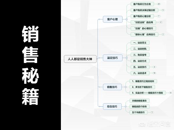 猫展:上海功夫熊猫展 你认为销售最为关键的技能是什么？