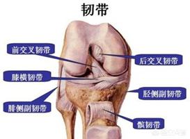 半月板损伤症状:半月板损伤症状的表现 半月板损伤了的话，还适合做深蹲吗？