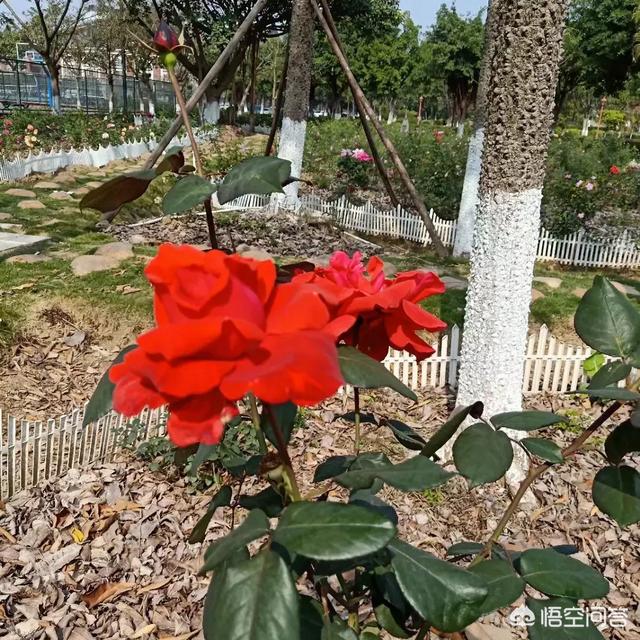那些把自己赚钱方法分享出来的人是什么心理？