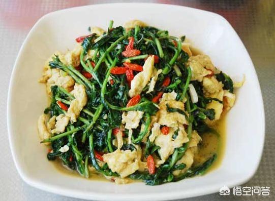 华南农村的树仔菜怎么做好吃，能清热止渴、祛风明目的枸杞芽菜，怎么做才清香可口？