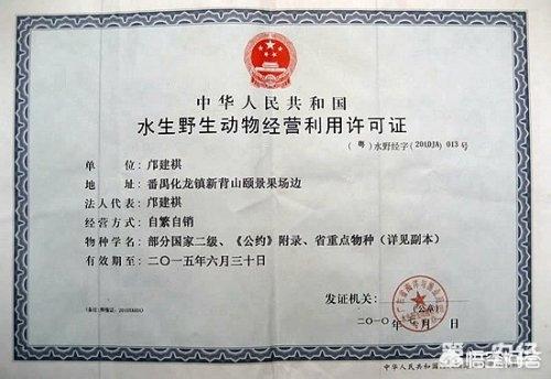 宠物饲养许可证:宠物饲养许可证 国家保护动物养殖的许可证如何办理？