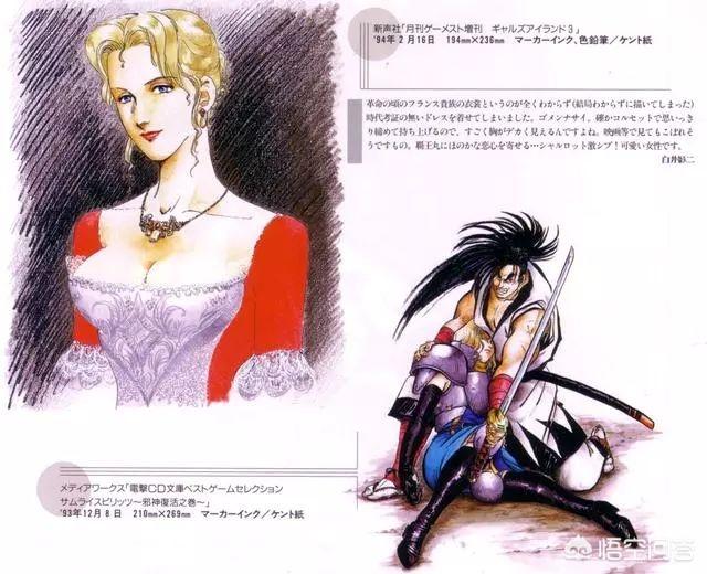 侍魂 易(侍魂易多少钱)