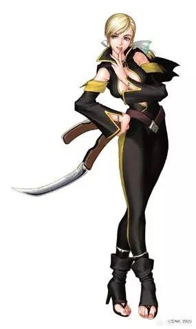 侍魂 易(侍魂易多少钱)