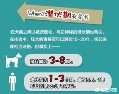 被狗狗咬伤潜伏期:被狗咬过多少天属于安全？ 被狗狗咬伤有潜伏期吗