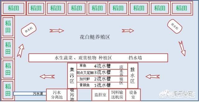 头条问答 池塘内循环流水养鱼模式有何优势 4个回答