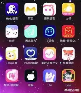 重创之后,声音社交还有未来吗？