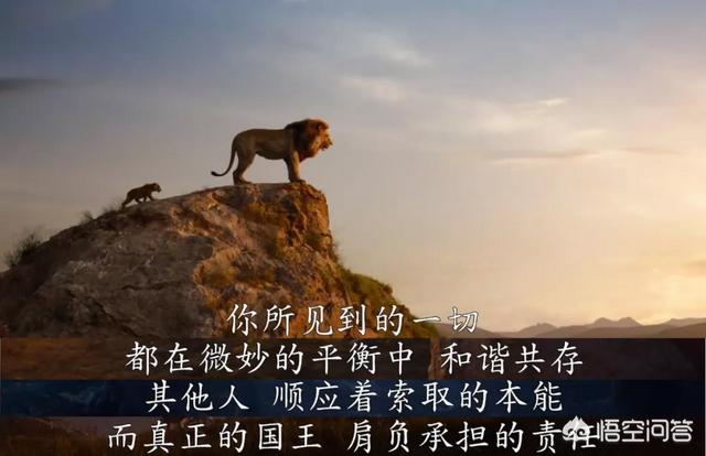 大象墓地:真的有那种大象死后都去的象冢吗