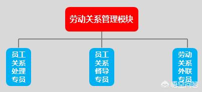 人力资源部门一般都设哪些岗位