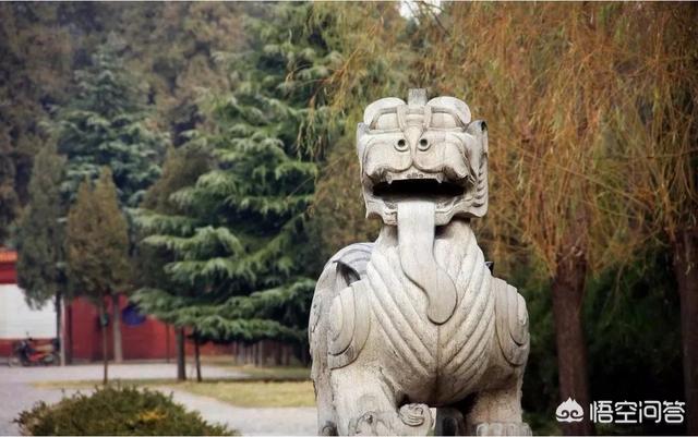 洛阳周边游:洛阳周边游有哪些地方景点一定要去？(洛阳景区有哪些景点开放)