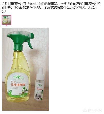 宠物除味剂可以直接喷在宠物身上么:猫尿沙发上怎么清洗，猫在沙发上尿怎么除臭呢？