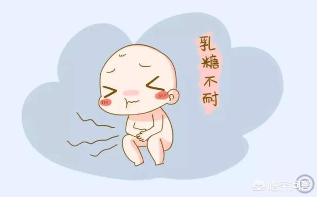 乳糖不耐受症状能加辅食吗:四个月多月乳糖不耐受的宝宝，要如何添加辅食？