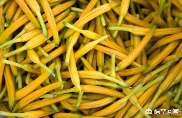 黄花菜的营养价值有哪些，黄花菜有降血脂的功效吗有什么食用方法