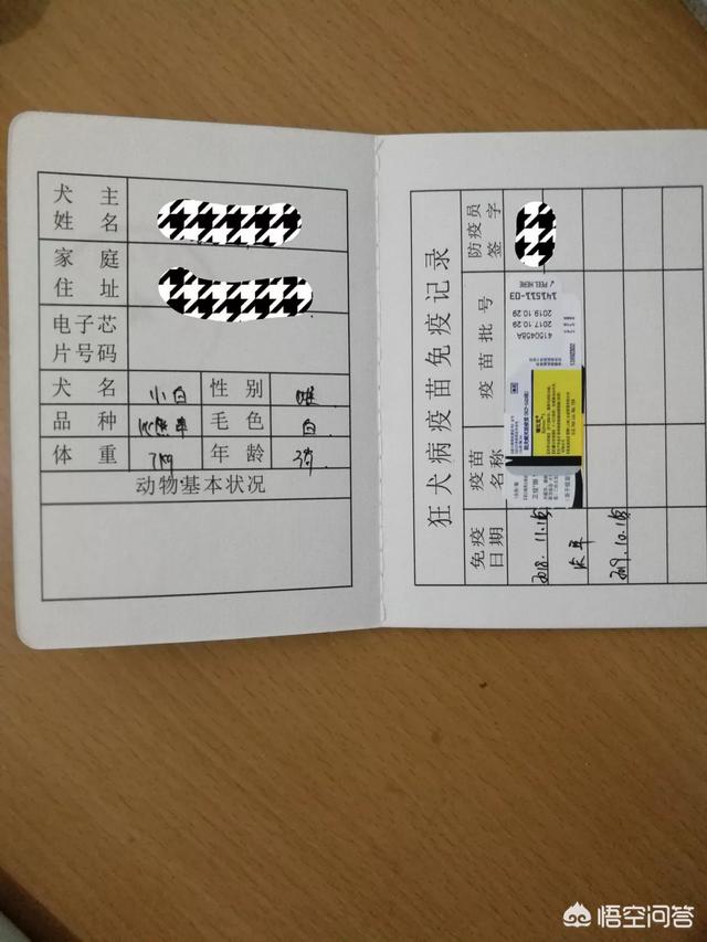 普及宠物狗知识贴:养狗有哪些宠主应该知道的冷知识？ 宠物狗的基础知识大全