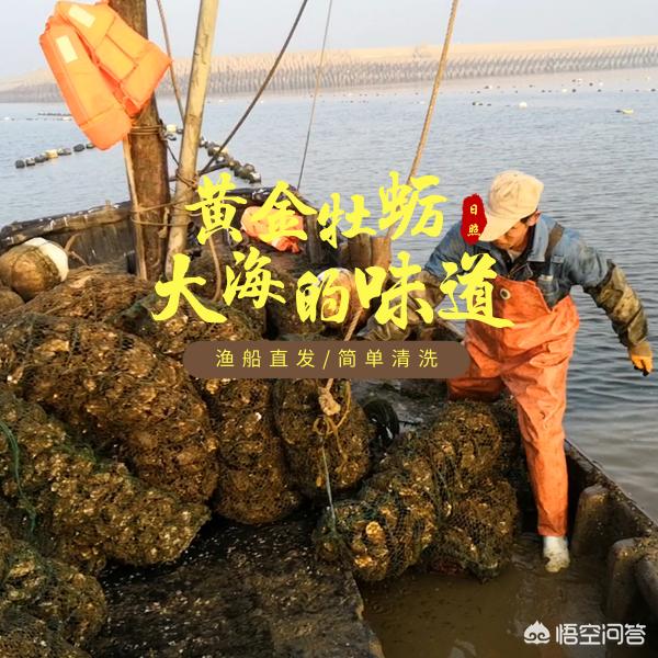 吃海蛎子壮阳吗，海蛎子有什么营养什么人不能吃