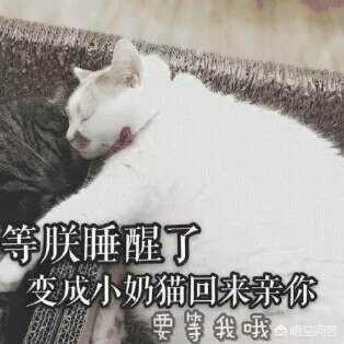 如何通过微信进行文字表情制作(微信表情包制作改文字)