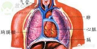 老年人胸腔积液病因有哪些，请问胸腔积液产生的原因是什么？