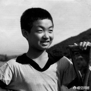 杨丽萍资料:金星的个人履历是怎样的，对此你怎么评价
