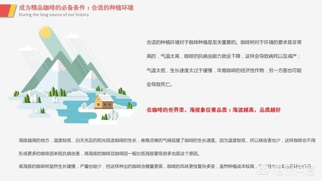 喝咖啡会不会长胖,请问喝茶提神还是喝咖啡提神？