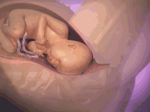 宝宝如何通过产道顺利分娩，临产前半个小时，宝宝在肚子里会做什么
