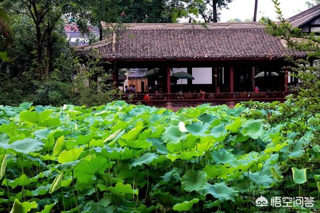 奚美娟娟简历:刚刚大学毕业，是先去学技术还是攒钱好？