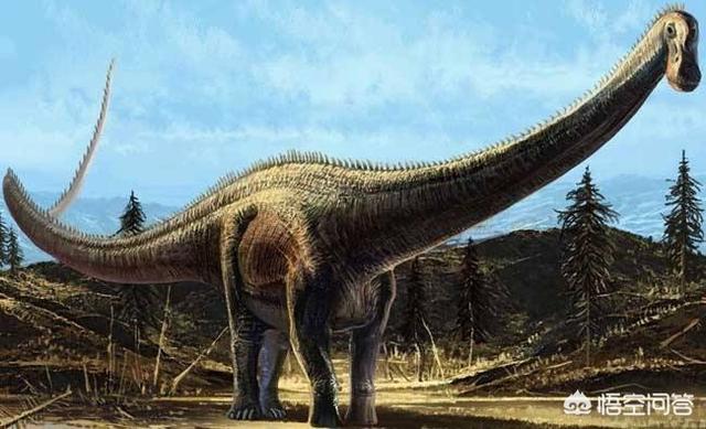 亥伯龙树:地球历史上最大的生物是什么