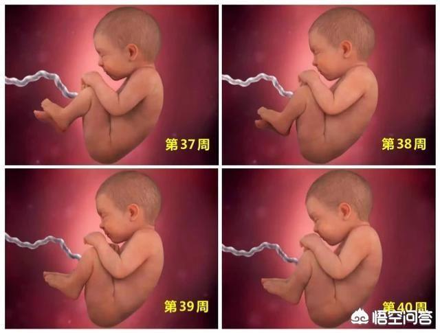 胎儿分娩前在忙什么，孕妇在生产前一个月要注意什么
