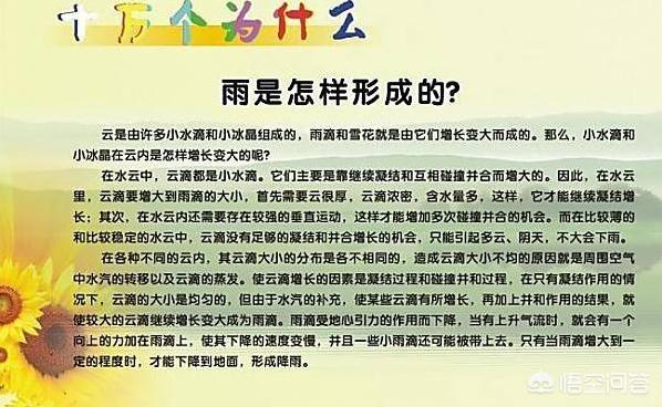 撒贝宁狐狸狗催眠:睡觉前适合看哪些书？又能学到点东西？
