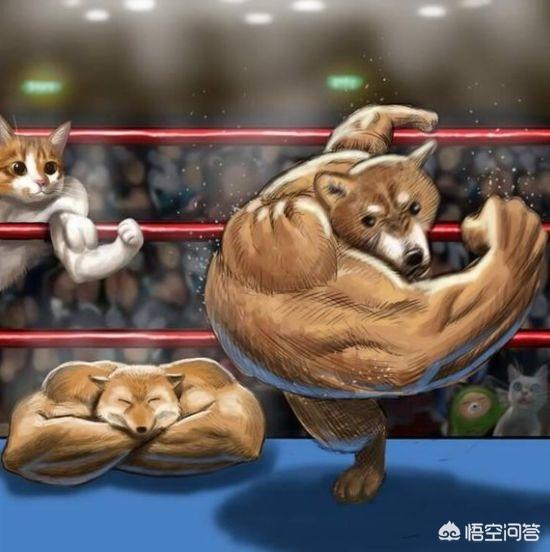 柴犬奇迹物语高清图片:当柴犬进入二次元会变成怎样呢？