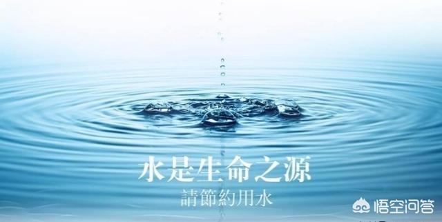 农村养殖创业，想回农村创业，养殖什么好