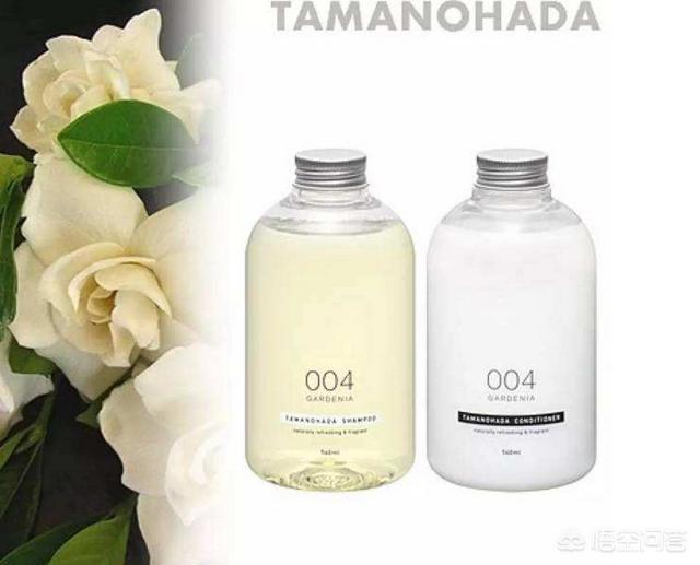 到底买什么牌子洗发水好啊,好用一些,味道也好一点？