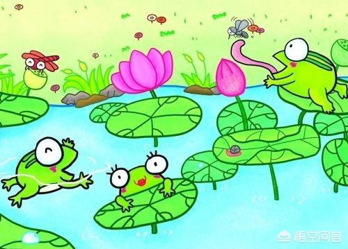 青蛙图片简笔画,儿童简笔画－小青蛙的画法？