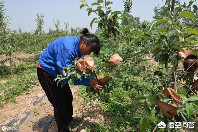 塑料袋垃圾到处都是，应不应该禁用(湿垃圾能用垃圾袋装吗)