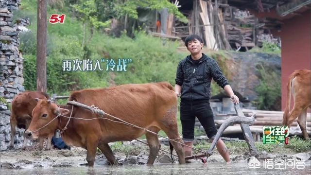 纪敏佳最新照片:如何评价2005年的《超级女声》？