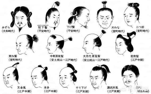 人鼻腔结构图:鼻子的结构是什么样子的？