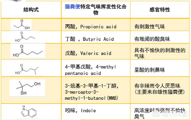 宠物除味剂哪种好:猫咪便便太臭了怎么办？有没有好点的除臭剂？ 宠物除味剂哪个牌子最好